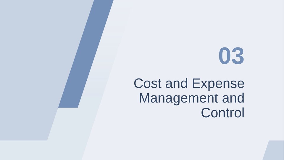 Financial Work Report PowerPoint Template - Page 8